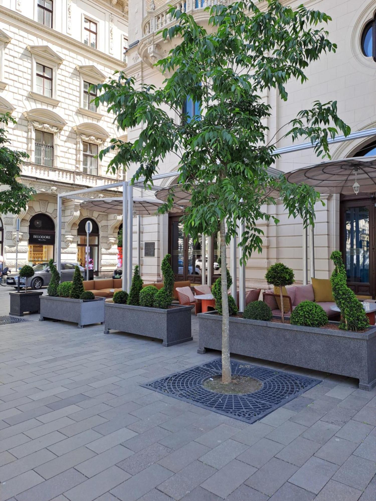 Cute Downtown Apartment Budapeszt Zewnętrze zdjęcie